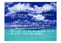 [성인간호학 내분비계]당뇨병의 응급간호-9