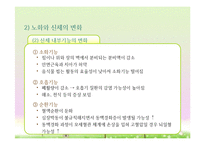 성인후기(60세 이상, 인간발달, 생물학적노화, 성격발달, 은퇴와적응, 성인후기의가족관계, 죽음에대한인식과적응) 프레젠테이션-7
