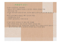 유럽사회(나치시대일상사, 죽음 앞의 인간) PPT, 파워포인트, 프레젠테이션-13