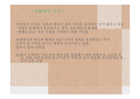 유럽사회(나치시대일상사, 죽음 앞의 인간) PPT, 파워포인트, 프레젠테이션-15