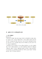 [갤럭시기어 실패사례 분석보고서] 갤럭시기어 마케팅사례분석과 실패요인분석및 나의의견-4