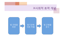 [법철학] 법효력에 대하여-4