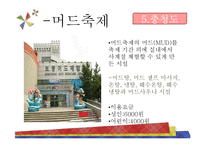 국내 지역축제 조사-17