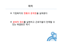 사회복지의 재원-기업복지제도 조사-3