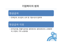 사회복지의 재원-기업복지제도 조사-7