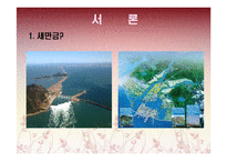 새만금 간척사업의 향후 발전 방향-3