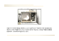 행동주의 학습이론-20