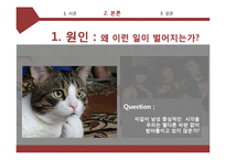 뮤직 콘텐츠 속 여성 성 상품화-8