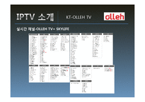 IPTV 채널구성과 시청자 주권-10