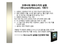 스키너-비둘기의 미신적 행동 실험-12