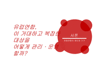 유럽의 정치사회, 제도와 기구-3