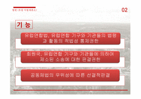 유럽의 정치사회, 제도와 기구-11