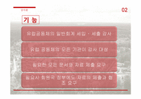 유럽의 정치사회, 제도와 기구-14
