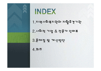 지역복지의 영역과 영향 조사-2