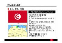 튀니지의 정치적 동향-재스민 혁명 중심으로-4