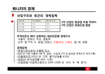 튀니지의 정치적 동향-재스민 혁명 중심으로-8