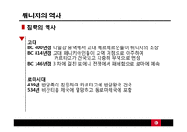 튀니지의 정치적 동향-재스민 혁명 중심으로-10