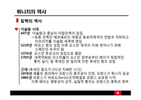 튀니지의 정치적 동향-재스민 혁명 중심으로-11
