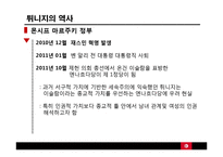 튀니지의 정치적 동향-재스민 혁명 중심으로-15