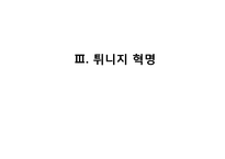 튀니지의 정치적 동향-재스민 혁명 중심으로-17