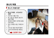 튀니지의 정치적 동향-재스민 혁명 중심으로-18
