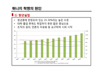 튀니지의 정치적 동향-재스민 혁명 중심으로-19
