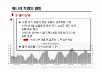 튀니지의 정치적 동향-재스민 혁명 중심으로-20