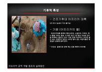 아프리카 ODA 실패원인 분석-15