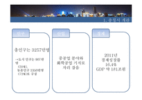 충칭시 친환경 도시 프로젝트-5