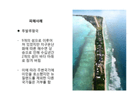 지구온난화 문제와 해결방안-10