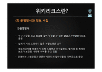 위키리크스의 시사점과 영향력-4