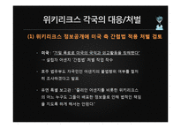 위키리크스의 시사점과 영향력-15