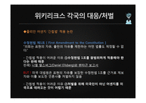 위키리크스의 시사점과 영향력-17