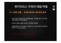 위키리크스의 시사점과 영향력-18