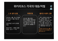 위키리크스의 시사점과 영향력-19