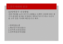풍수지리의 현대적 의미와 문제점 및 개선방안-17