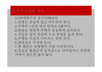 풍수지리의 현대적 의미와 문제점 및 개선방안-19