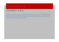 풍수지리의 현대적 의미와 문제점 및 개선방안-20