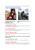 한국사회와 영상문화 - 영상이란 무엇인가-5