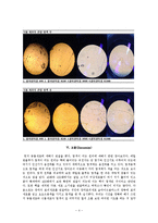 [생물학 실험] 동물세포 및 식물세포의 관찰-4