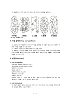 [생물학 실험] 표피조직의 관찰-2