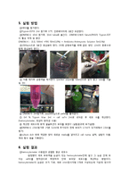 생물학 실험 - 세포 배양(cell culture)-4