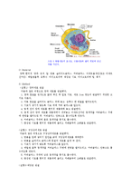 생물학 실험 - 세포관찰-2