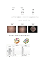 생물학 실험 - 진핵생물 현미경 관찰 실험-2