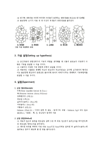 생물학 실험 - 표피조직의 관찰-2