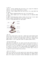 생물학 실험 - 현미경 사용법과 세포 관찰-2
