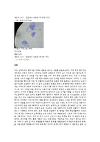 생물학 실험 - 현미경 사용법과 세포 관찰-5