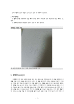 실험보고서 - 현미경을 이용한 관찰-4