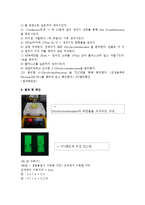 유기화학실험 - Nitrobromobenzene 의 제조와 분리-4