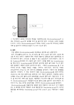 유기화학실험 - Nitrobromobenzene 의 제조와 분리-5